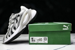 Puma Inverse Rev 401765 01