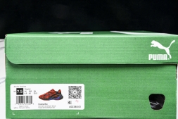 Puma Inverse Rev 402380 01