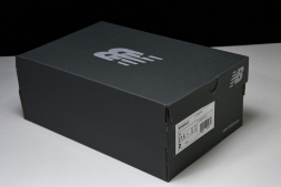 New Balance 1906 M1906RCO 