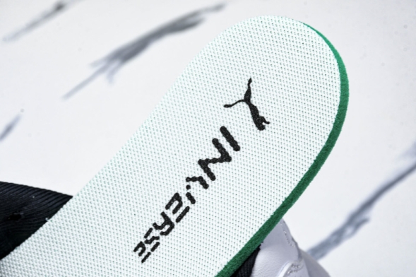 Puma Inverse Rev 402356 01  