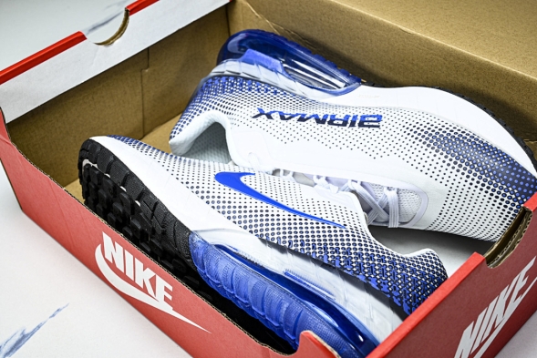 Nike Air Max Phoenix FZ5307-101 