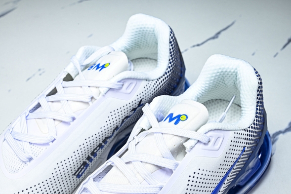 Nike Air Max Phoenix FZ5307-101 