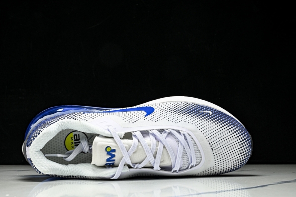 Nike Air Max Phoenix FZ5307-101 