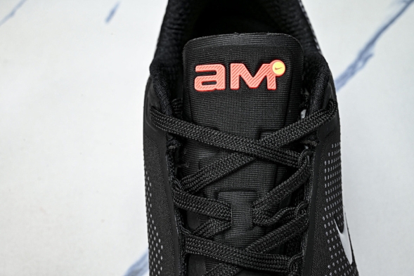 Nike Air Max Phoenix FZ5307-003 