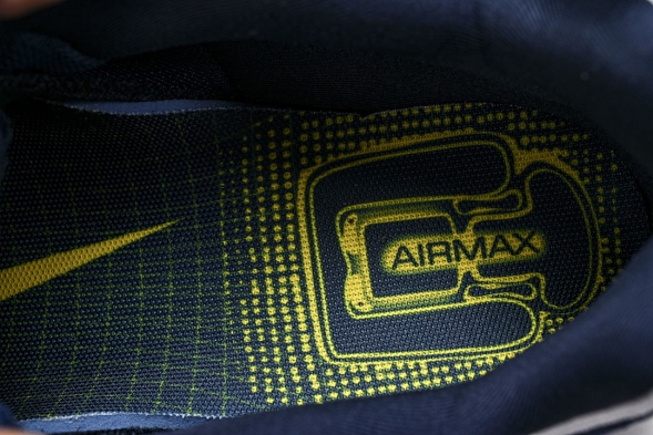 Nike Air Max 95 x Eric Koston HQ8492-400  