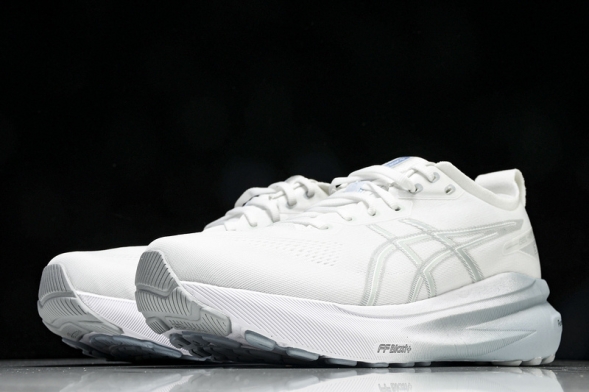 Asics Gel-kayano 31 1012B794-100 