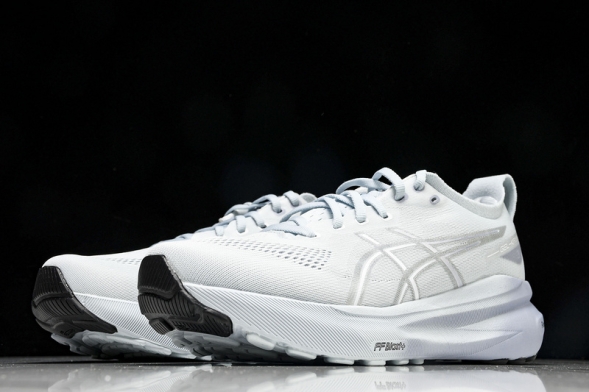Asics Gel-kayano 31 1012B670-021 