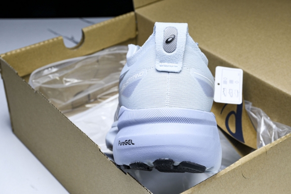 Asics Gel-kayano 31 1012B670-021 