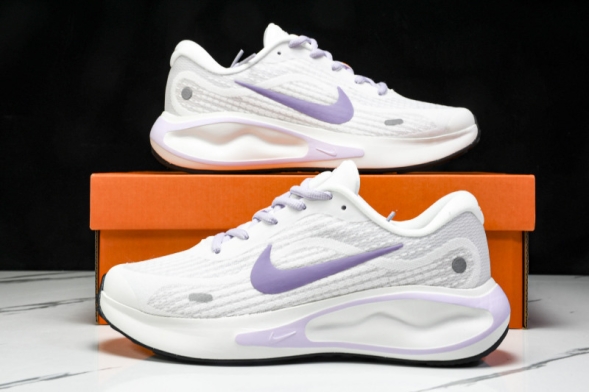 Nike Journey Run FJ7765 100 
