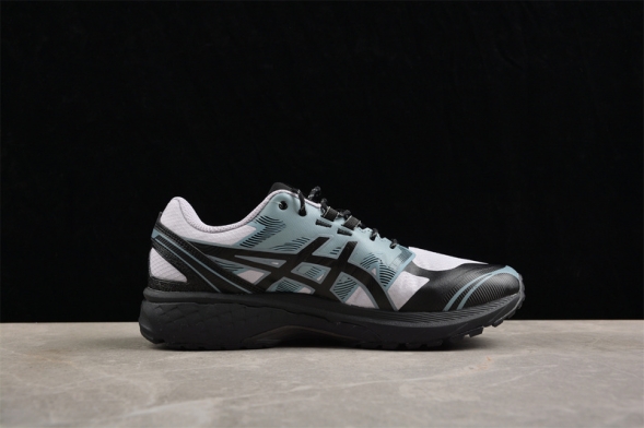 Asics Gel-Terrain 1203A342-500 