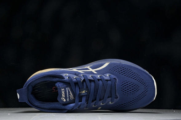 Asics Gel-kayano 31 1012B960-400  