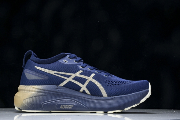 Asics Gel-kayano 31 1012B960-400  