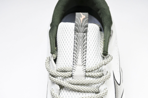 Mizuno Astro Plus D1GH240110 