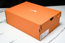 Nike Journey Run FJ7765 102