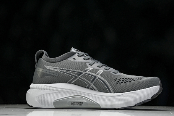 Asics Gel-kayano 31 1012B671-020  