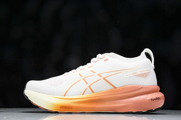 Asics Gel-kayano 31 1012B670-100 