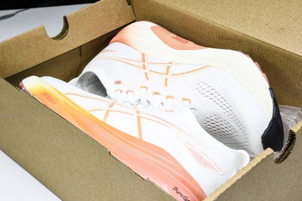 Asics Gel-kayano 31 1012B670-100 