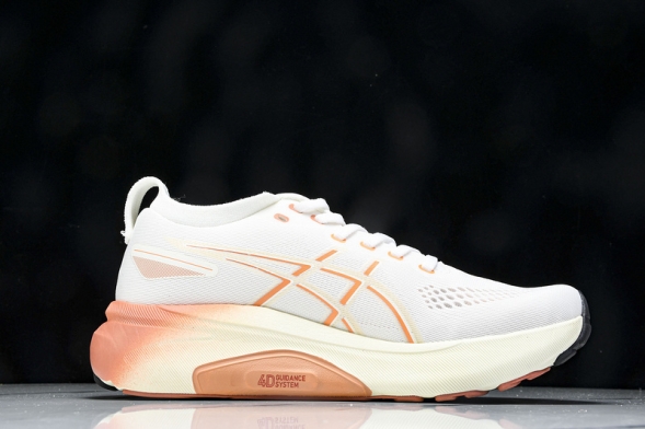 Asics Gel-kayano 31 1012B670-100 