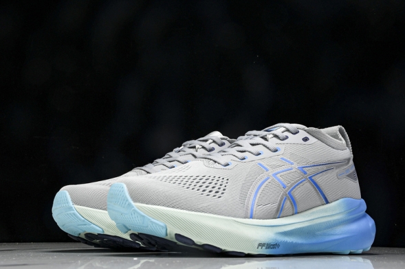 Asics Gel-kayano 31 1012B670-022 