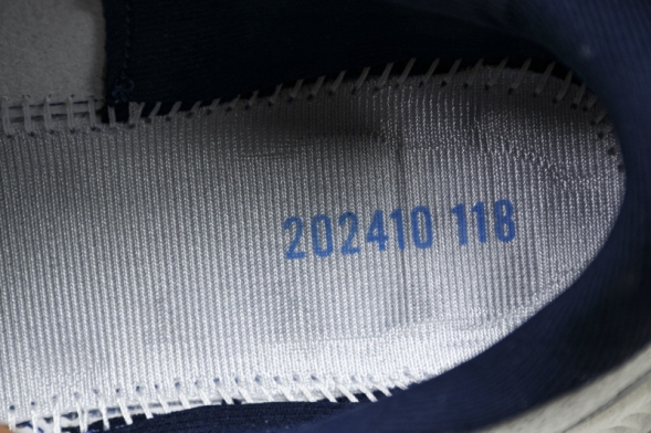 Mizuno Astro Plus D1GH240103 