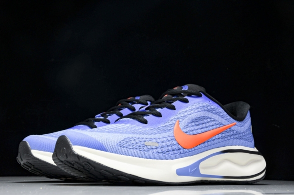 Nike Journey Run FN0228 400 