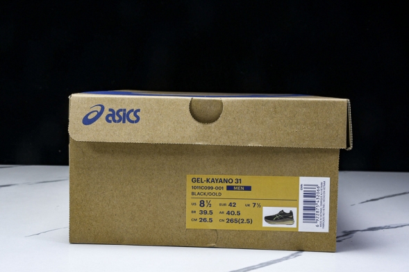 Asics Gel-kayano 31 1011C099-001 