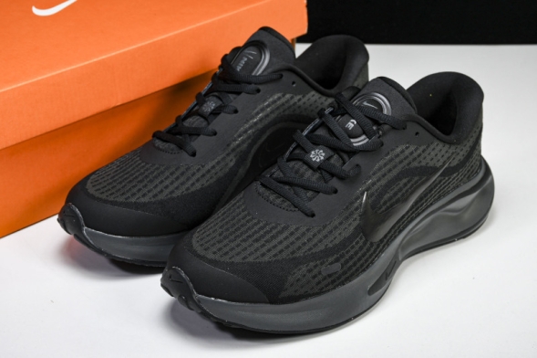 Nike Journey Run FN0228-002 