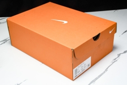 Nike Journey Run FN0228 100