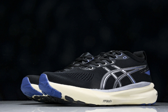 Asics Gel-kayano 31 1011B995-001 