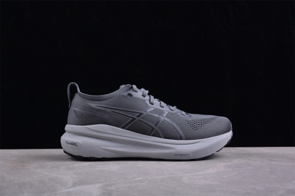 Asics Gel-kayano 31 1011B867-020 