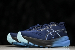 Asics Gel-kayano 31 1011B867-401