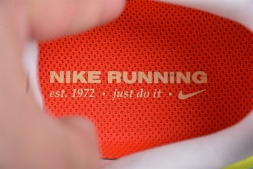 Nike Air Zoom Pegasus 41 FD2722-100