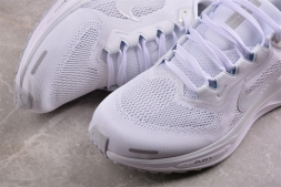 Nike Air Zoom Pegasus 41 FD2722-102