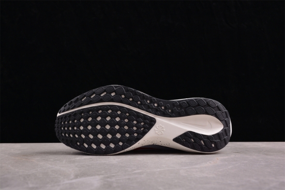 Nike Air Zoom Pegasus 41 HJ9068-100 