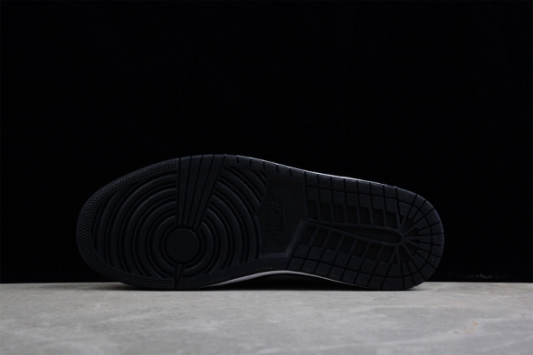 Nike Air Jordan 1 low Homage DR0502-101 