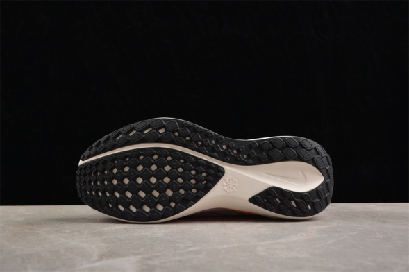 Nike Air Zoom Pegasus 41 FP HF0013-900 