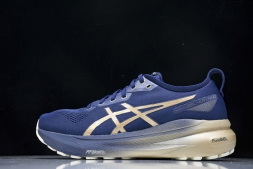 Asics Gel-kayano 31 1011B950-400