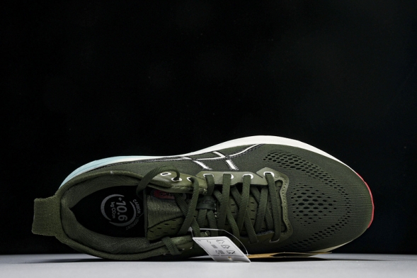 Asics Gel-kayano 31 1011B867-301 