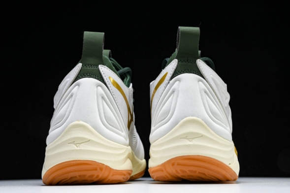 Mizuno Wave Momentum V1GA231244 