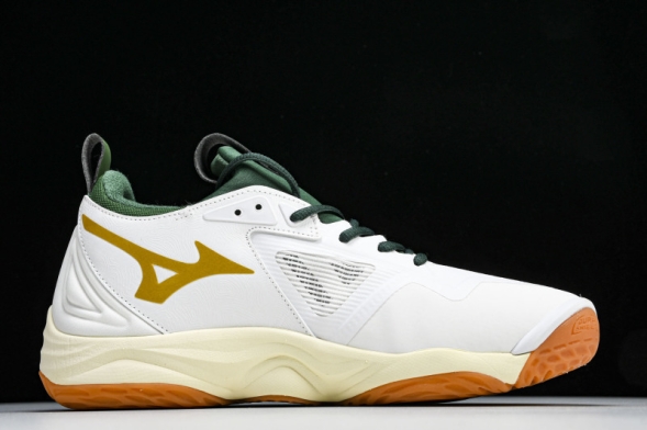 Mizuno Wave Momentum V1GA231244 