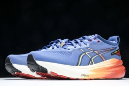 Asics Gel-kayano 31 1011B867-402