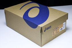 Asics Gel-kayano 31 1011B867-402