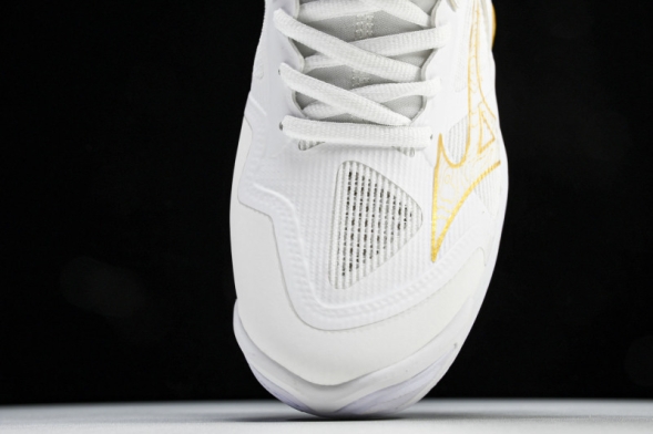 Mizuno Wave Momentum V1GA231245 