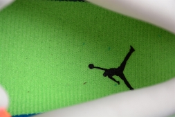 Nike Air Jordan 1 low FB1835-181