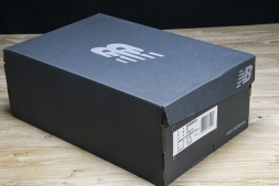 New Balance 1906 M1906RCB