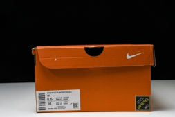 Nike ReactX Infinity RN 4 Gore-TEX FB2204-300