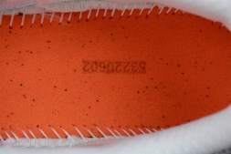 Asics Gel-Kahana TR V2 1203A259-100