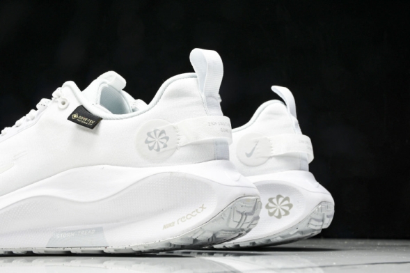 Nike ReactX Infinity RN 4 Gore-TEX FB2204-101 