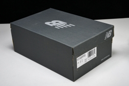 New Balance 1906 M1906RRB