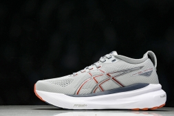 Asics Gel-kayano 31 1011B867-021